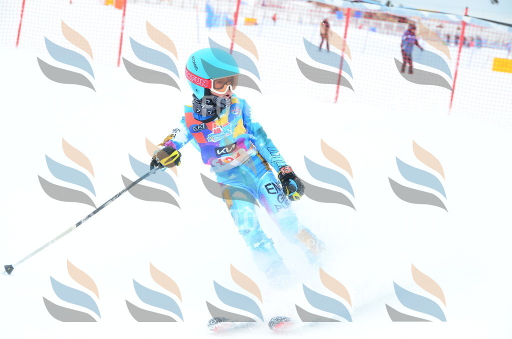 DSC_1690 | holidayphoto