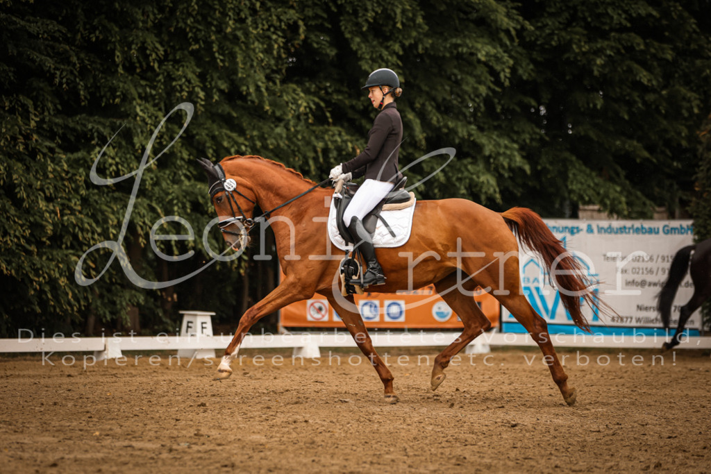 DoDrA00254 | Leoni Ertmer Photography - Realisiert mit Pictrs.com