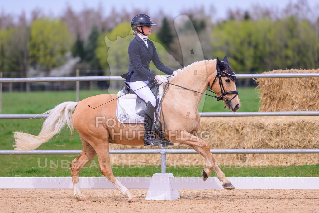 09042026-Mammendorf-Prfg07-0413 | Fokus Hufschlag Fotografie - Realisiert mit Pictrs.com