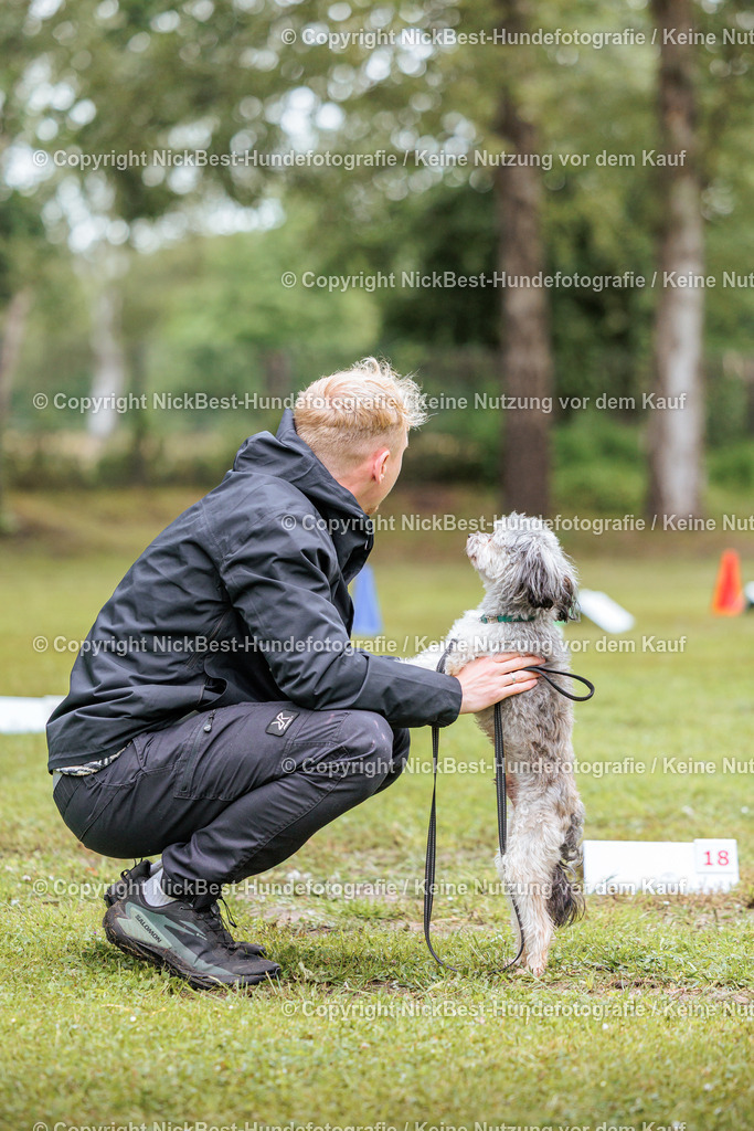 RO-Blumenthal-2026-Nickbest-Hundefotografie-4768 | Dein Hund! Dein Moment! Deine Erinnerungen! Hundefotografie in Bremen Blumenthal. Ich fange die besonderen Momente deines Vierbeiners ein – ob Indoor mit Blitzanlage oder in der freien Natur. Sicher dir dein Moment und dein Termin für eure Erinnerungen.