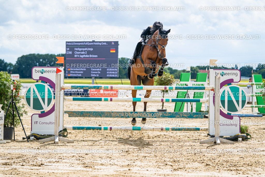 DSC05537 | Pferdegrafie