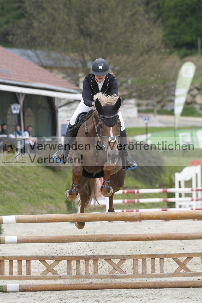 _MG_1029 | equestrian-live-com