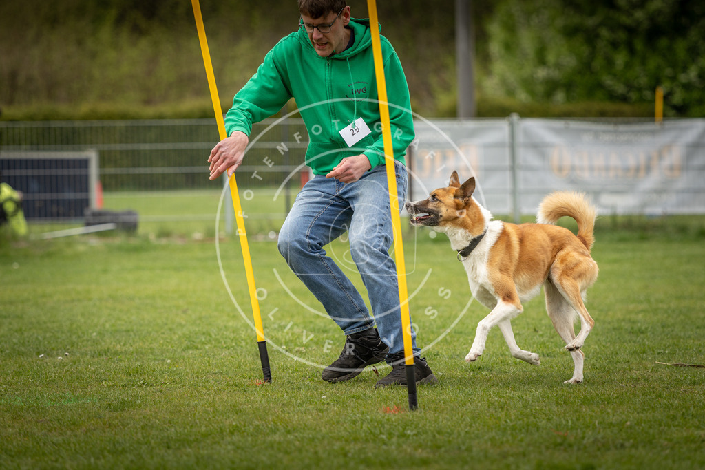 Pfotenfotografie_DV3A2123 | Hundefotografie, Tierfotograf, Pfotenfotografie, Fotoshooting Hund, Hunde Portrait, Hundesport, Hundeportraits, Heideshooting, Hunde, Sportfotograf, Hundefotograf, Turnierhundsport, THS,  - Realisiert mit Pictrs.com