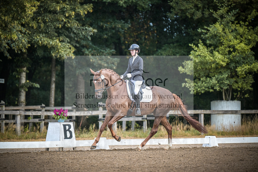 DOS_0261 | Entdecke hochwertige Reitturnierfotos von Foto Oger. Professionell, emotional und authentisch – jetzt Lieblingsmomente im Shop bestellen.Deutschlandweite Turnierfotografie. - Realisiert mit Pictrs.com
