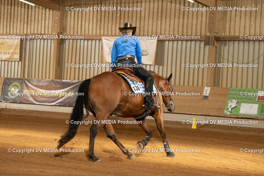 NID01917 | dv-media-shop - Realisiert mit Pictrs.com