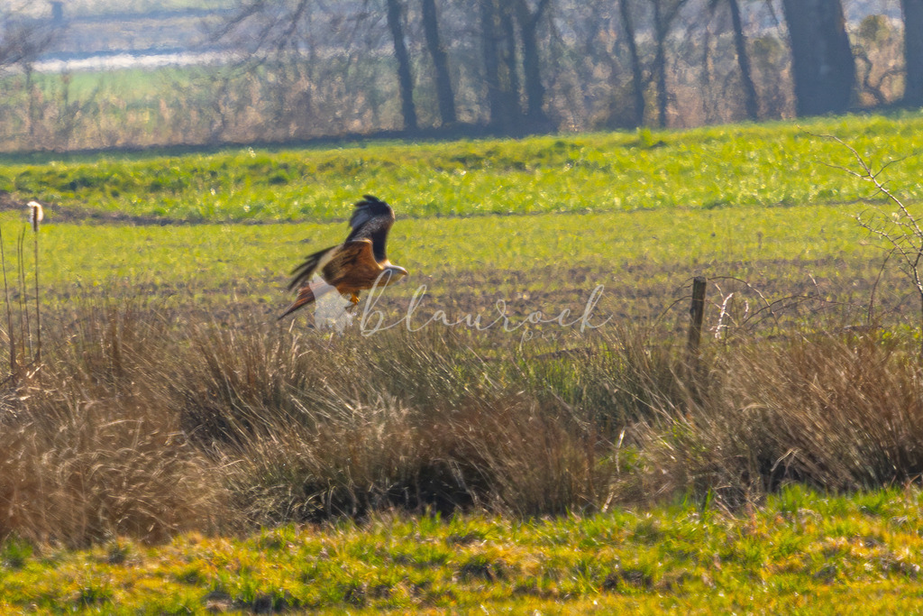  waterslide--6 | Frühlingserwachen