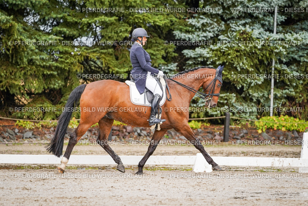 DSC09626 | Pferdegrafie