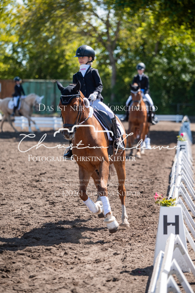 DSC_6465 | Christina-Kleuver
