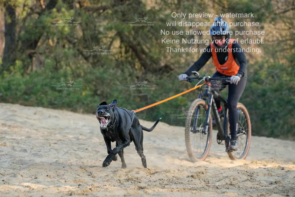 So_Bike-399 | stephaniefillaphotographie - Realisiert mit Pictrs.com