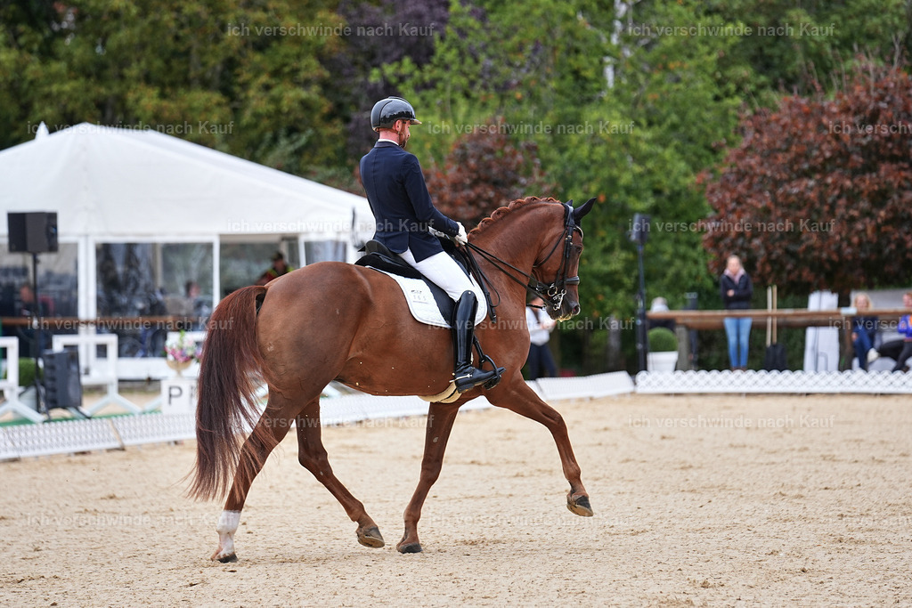 04_1-165-Dressur M__ -Marixx-2780 | working equitationturnier fotograf videograf stoibphotography marixx film working equitation deutschland reitsport turnierfotografie eventfotografie equestrian events