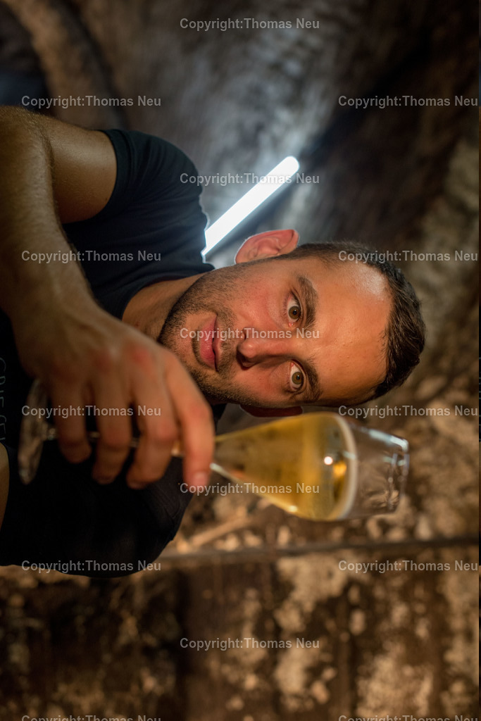 Sekt_14 |  Bensheim, Griesel-Sekt; Thema: Sektproduktion, Griesel , Niko Brandner, 