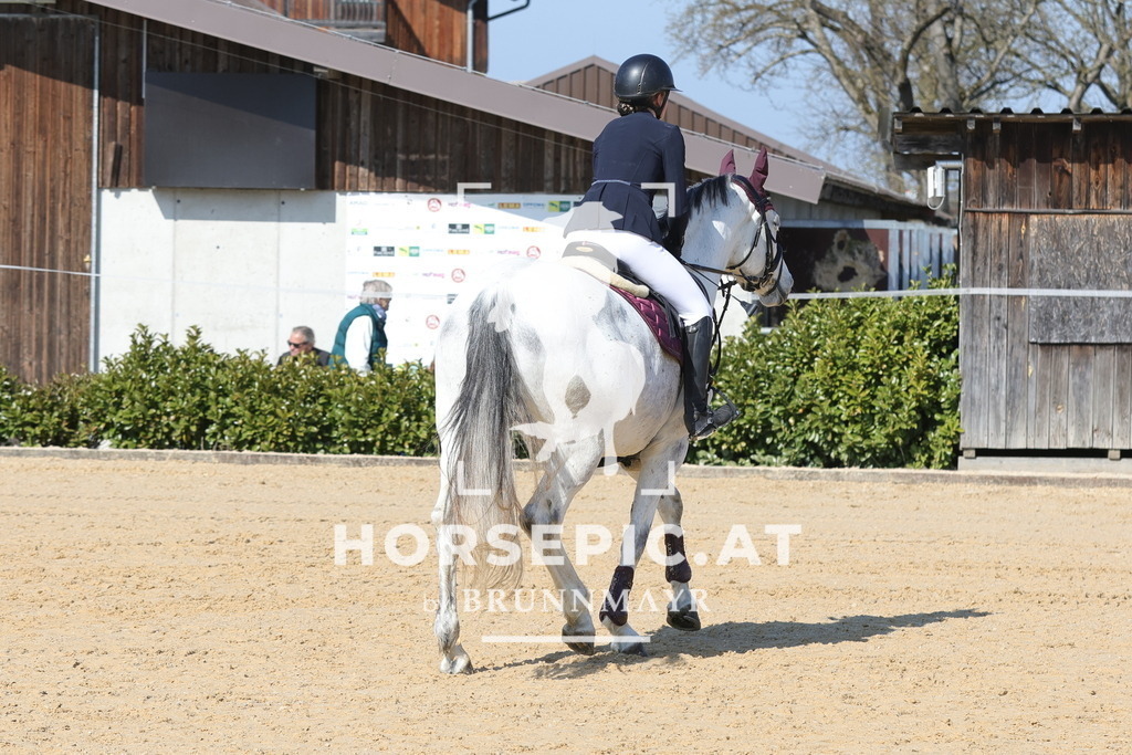 0P6A6479 | Willkommen bei Brunnmayr - Design & Fotografie – Ihrem Spezialisten für Reitturniere und Pferdeveranstaltungen in Oberösterreich, Salzburg und Bayern! Seit über 17 Jahren sind wir leidenschaftlich dabei.