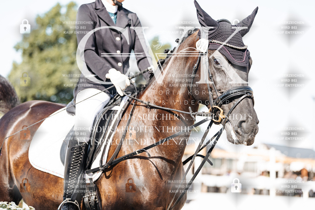 CK905629 | Turnierfotografie Pferdefotografie Trier Rheinland-Pfalz Pferdesport Reitsport Tierfotografie Sportfotografie Pferdevideo Pferdevideografie Equestrianvideography equestrianphotography  - Realisiert mit Pictrs.com