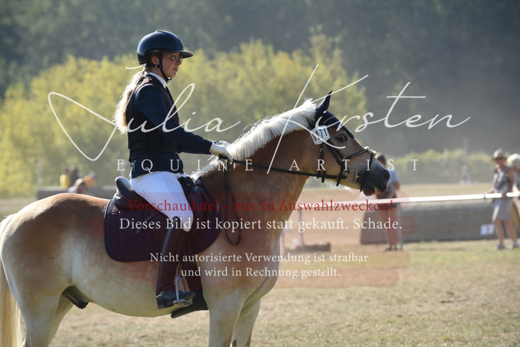 DSC_5879 | Pferde- und Turnierfotografie in Westsachsen. Pferdeportraits, Auftragszeichnungen und intuitive Kunst.