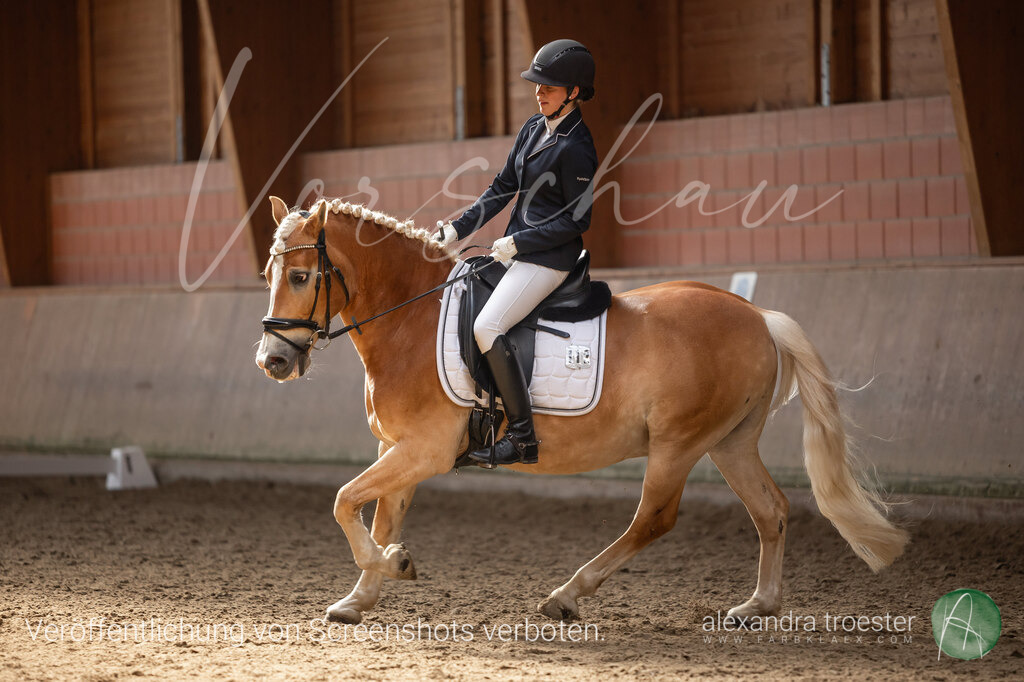 250405_Barop_06_323 | farbklaex.com