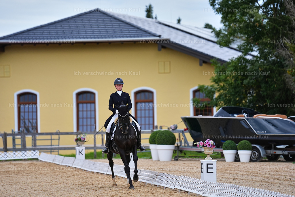 8_1-077-Klasse S_  -Marixx-4068 | working equitationturnier fotograf videograf stoibphotography marixx film working equitation deutschland reitsport turnierfotografie eventfotografie equestrian events