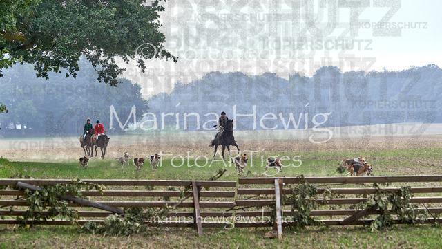 09-23 Jagd Perdöl_MCH9655_Marina Hewig | Fotografie, FotoArt, PferdesportArt, Pferdesportfotografie, Landschaftsfotografie, Reisefotografie, Reise, Pferde - Realisiert mit Pictrs.com