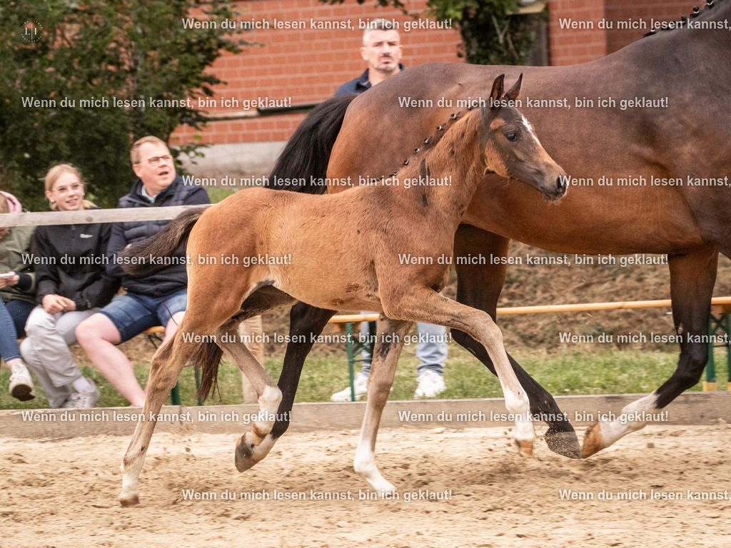 A10I6180 | photographylinaismer - Realisiert mit Pictrs.com