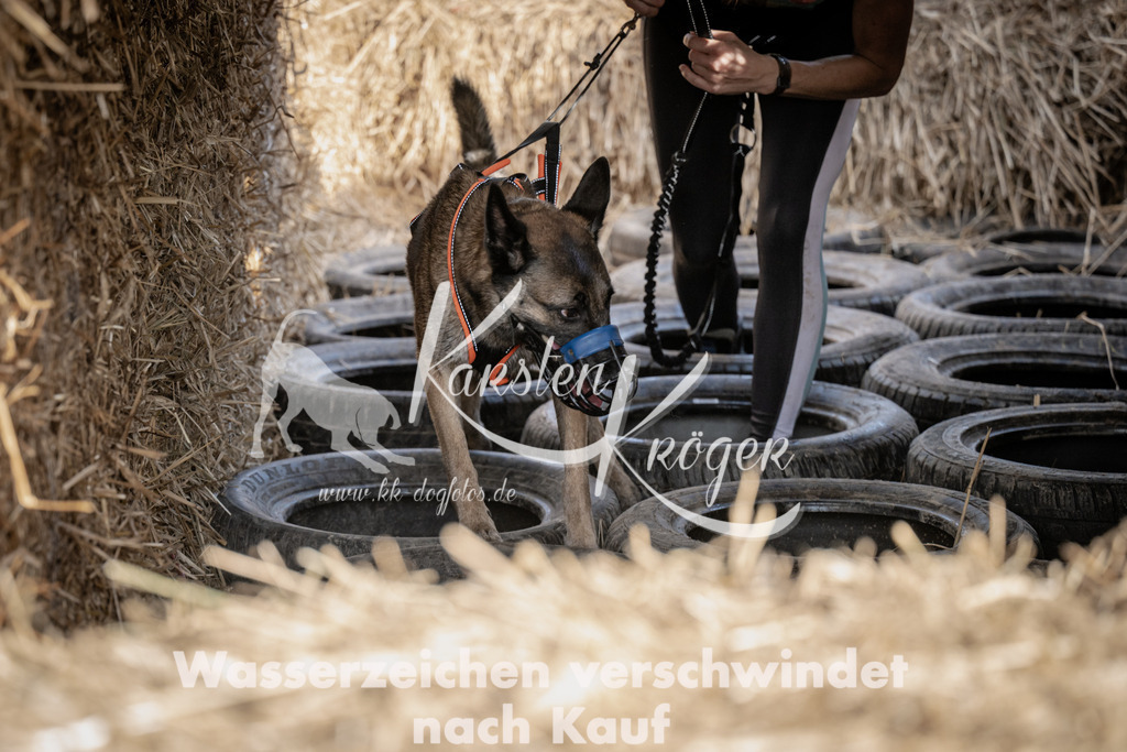 1201_ZZ93398 | kk-dogfotos