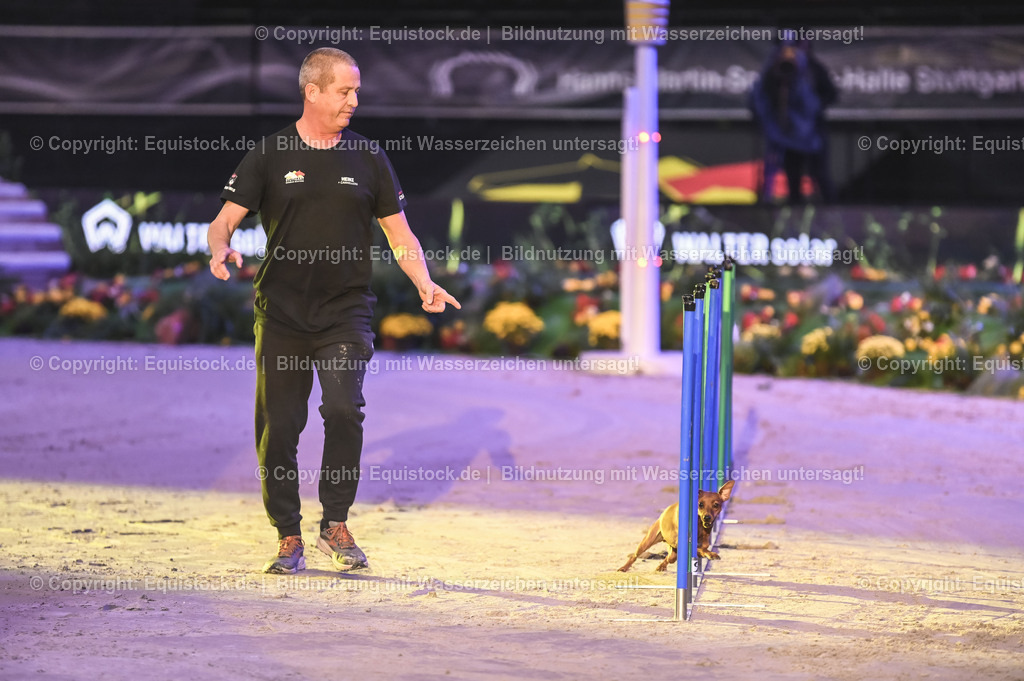 20231115_Dog-Agility_0046_TOMsPiC | Foto: Thomas Hartig