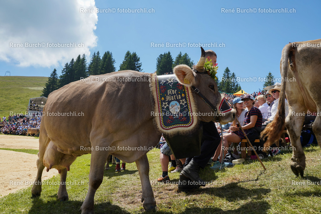 20220710-DSC09873 (2) | René Burch leidenschaftlicher Fotograf aus Kerns in Obwalden.  Hier finden sie Sport, Landschaft und Natur Fotografie.
 - Realisiert mit Pictrs.com