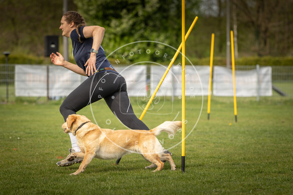 Pfotenfotografie_DV3A5133 | Hundefotografie, Tierfotograf, Pfotenfotografie, Fotoshooting Hund, Hunde Portrait, Hundesport, Hundeportraits, Heideshooting, Hunde, Sportfotograf, Hundefotograf, Turnierhundsport, THS,  - Realisiert mit Pictrs.com