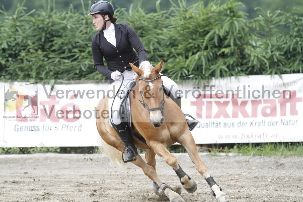 _MG_6376 | equestrian-live-com