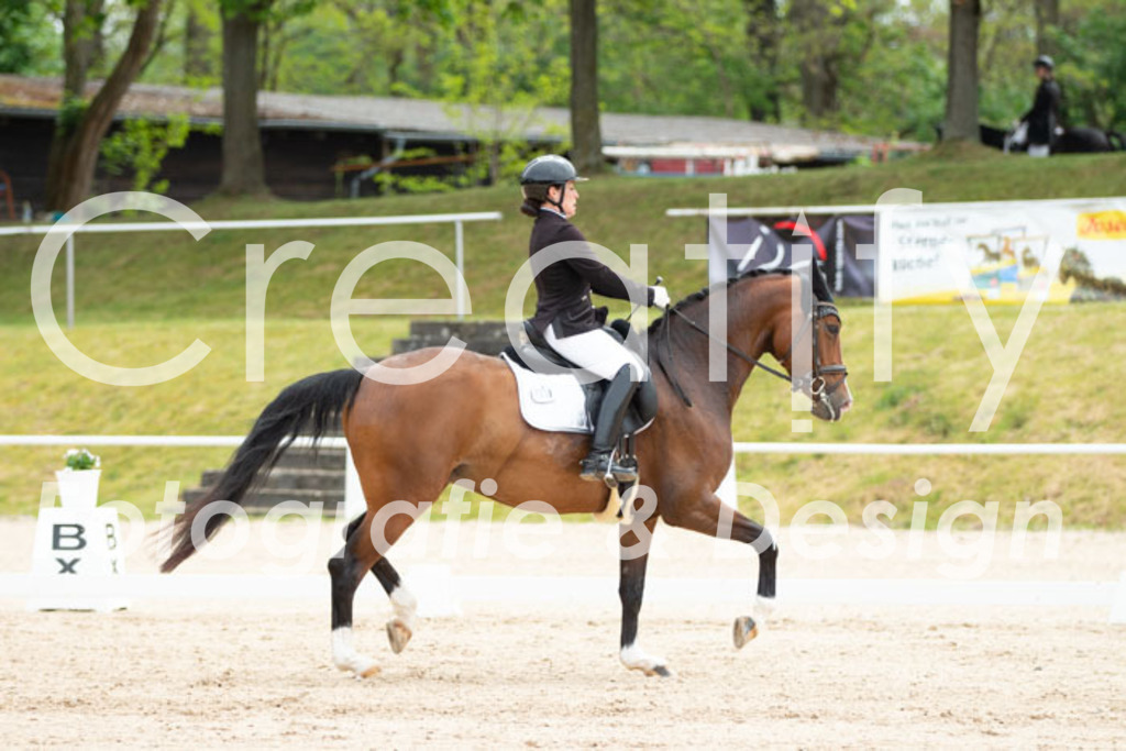 IMG_1041 | Creatify Fotografie