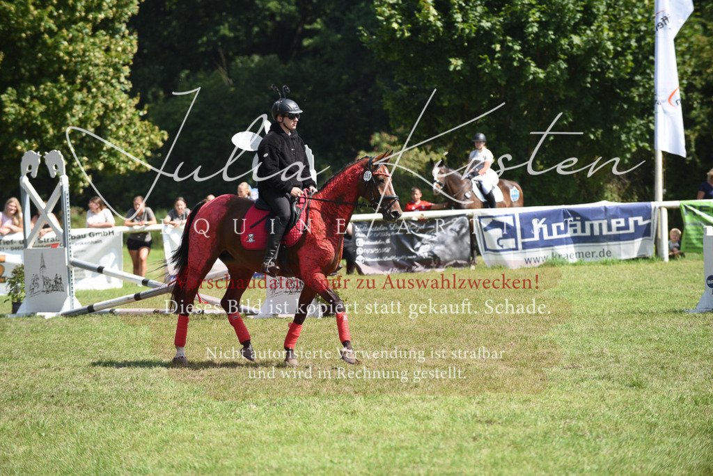 DSC_0193 | Pferde- und Turnierfotografie in Westsachsen. Pferdeportraits, Auftragszeichnungen und intuitive Kunst.