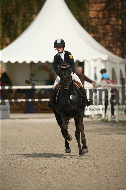 Donzdorf_2022_Stilspringen_Kl.A__Elin Sorg_Nougat 39 (5) | Alle Fotos der Reiterjournal Fotografin Doris Matthaes im Reiterjournal Online-Fotoshop. - Realizado com Pictrs.com