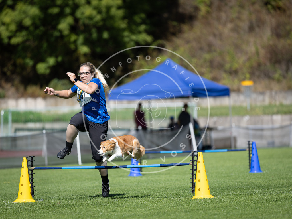 Pfotenfotografie_DV3A5117 | Hundefotografie, Tierfotograf, Pfotenfotografie, Fotoshooting Hund, Hunde Portrait, Hundesport, Hundeportraits, Heideshooting, Hunde, Sportfotograf, Hundefotograf, Turnierhundsport, THS,  - Realisiert mit Pictrs.com