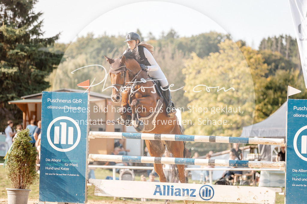 3I6A5093 | Stimmungsvolle Portraits und Reitsportfotografie im Ruhrgebiet und im Münsterland.

Pferdefotografie, Hundefotografie, Tierfotografie, Reportagen, Portraits von Tier und Mensch, Turnierfotografie in Bochum, Recklinghausen, Marl, Haltern am See, Dülmen.. - Realisiert mit Pictrs.com