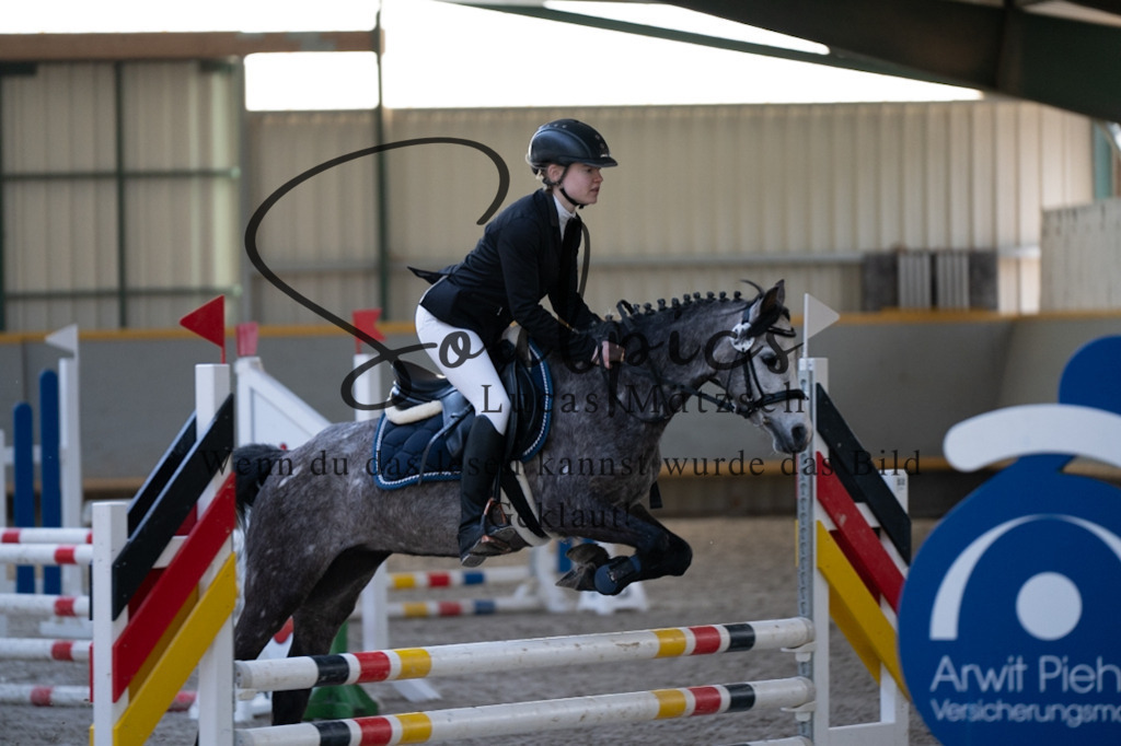 A7V06536 | Pferdefotograf