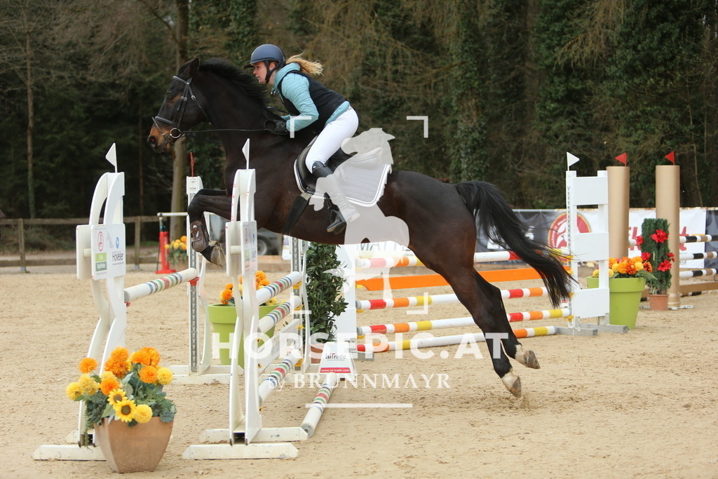 DL2Q6698 | Willkommen bei Brunnmayr - Design & Fotografie – Ihrem Spezialisten für Reitturniere und Pferdeveranstaltungen in Oberösterreich, Salzburg und Bayern! Seit über 17 Jahren sind wir leidenschaftlich dabei.