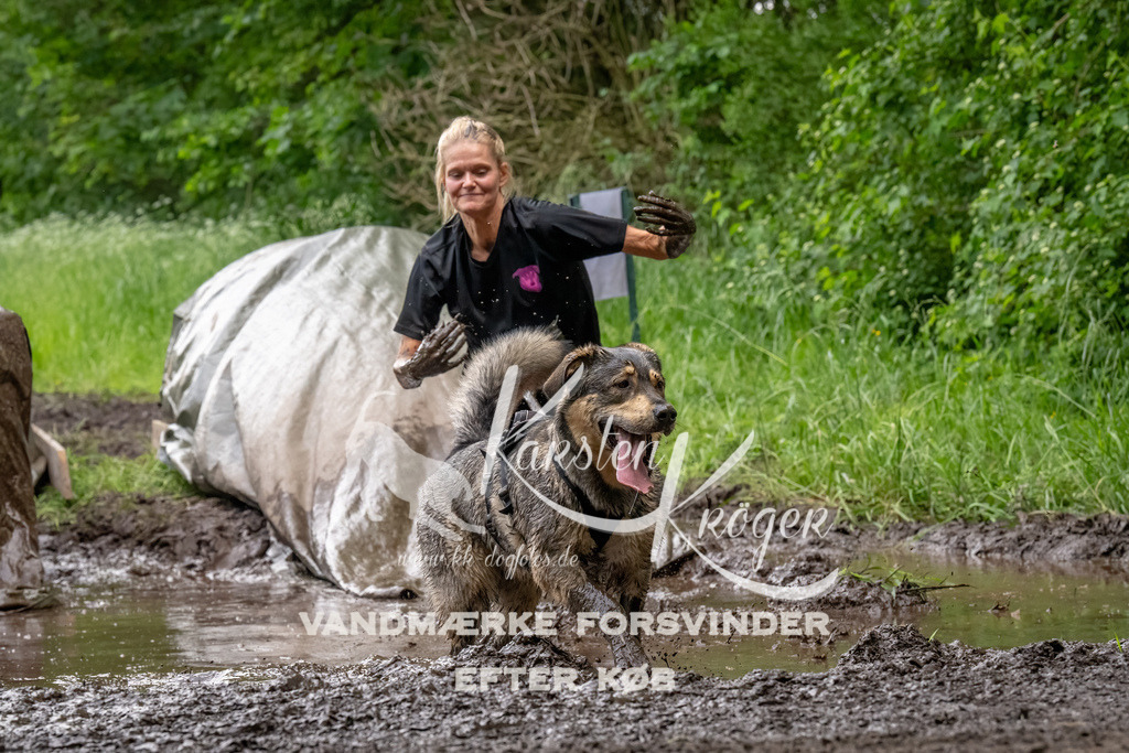 1519_ZZ92790-Bearbeitet | kk-dogfotos