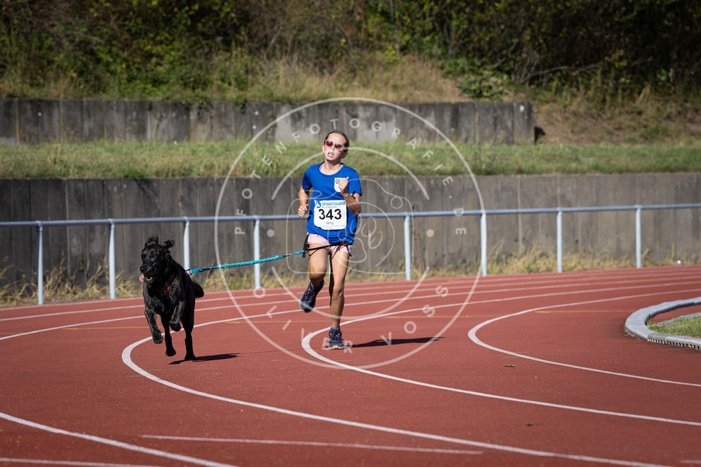 Pfotenfotografie_DV3A8617 | Hundefotografie, Tierfotograf, Pfotenfotografie, Fotoshooting Hund, Hunde Portrait, Hundesport, Hundeportraits, Heideshooting, Hunde, Sportfotograf, Hundefotograf, Turnierhundsport, THS,  - Realisiert mit Pictrs.com