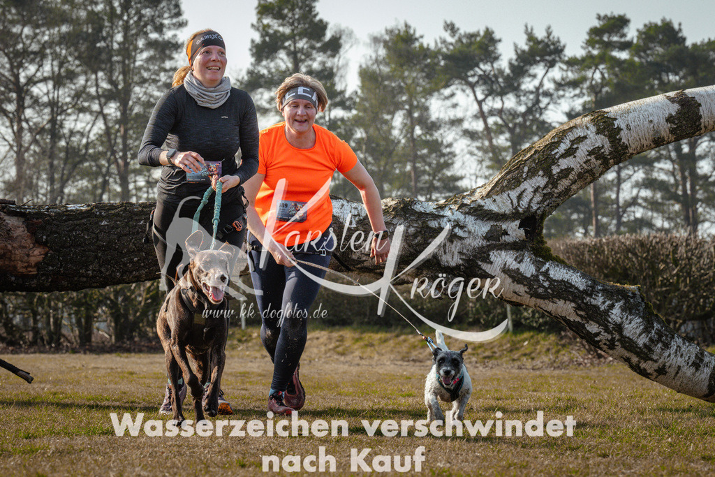 0950_ZZ90237 | kk-dogfotos