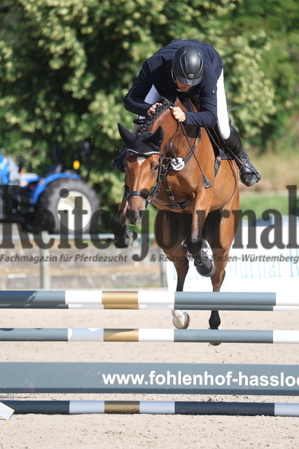 Weilheim_2023_Prfg.Nr.09_Qualifikation_PSA-Tour_Jochen Fimpel_Lucy HH (1) | Alle Fotos der Reiterjournal Fotografin Doris Matthaes im Reiterjournal Online-Fotoshop. - Realisiert mit Pictrs.com