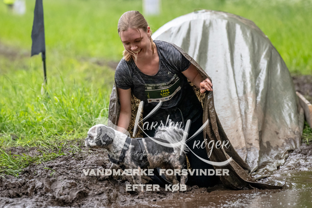 1554_ZZ90987-Bearbeitet | kk-dogfotos