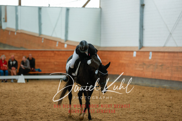 _62_6132 | Turniersportfotografie; Pferdefotografie; Dressurfotografie