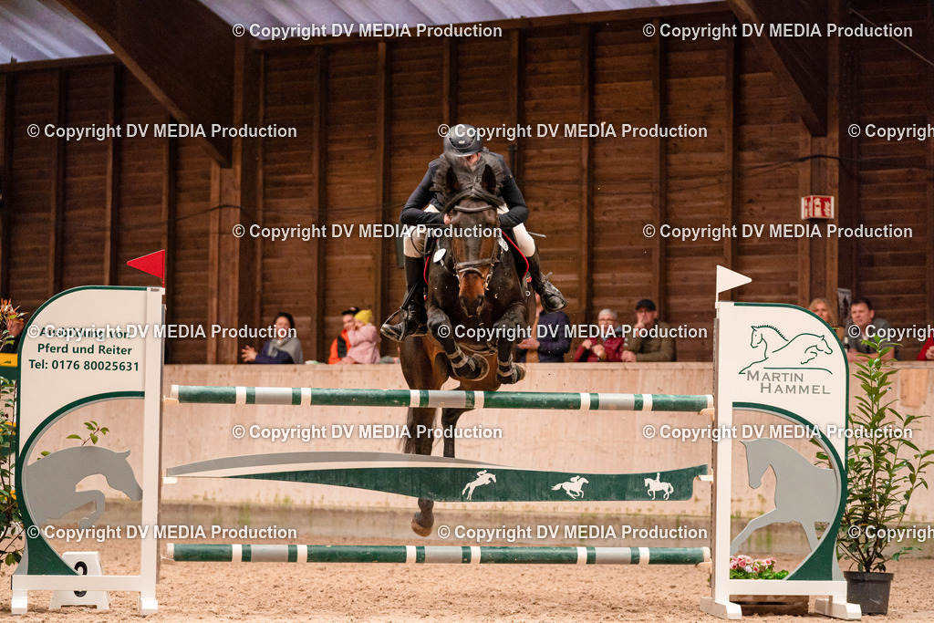 Springen Tag 3-407 | dv-media-shop - Realisiert mit Pictrs.com