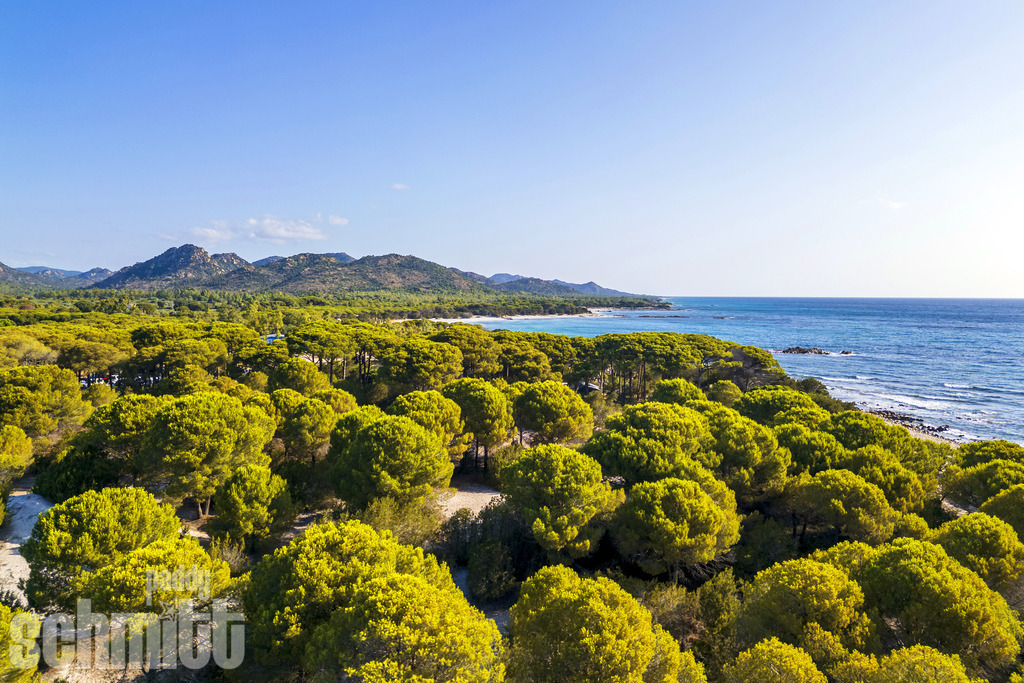 PS-Sardinien-2026-18 | Entdecke die größte Bildgalerie der Region mit Fotografien aus dem Allgäu, der Bodenseeregion, Oberschwaben, dem Donautal und der Schwäbischen Alb. Landschaften, Luftaufnahmen und Reisefotografie als Wandbild und Fotokunst. - Realisiert mit Pictrs.com