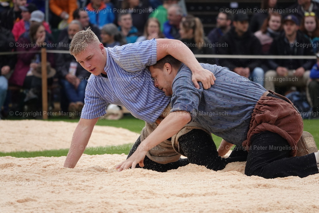 DSC03780 | Schwingen - Realisiert mit Pictrs.com