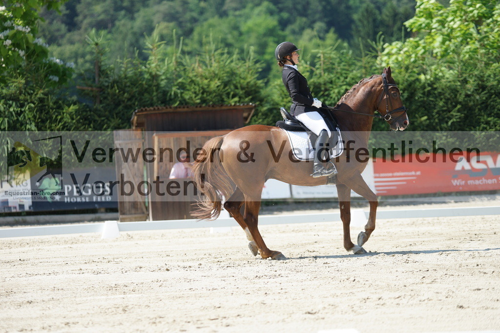 DSC02298 | equestrian-live-com
