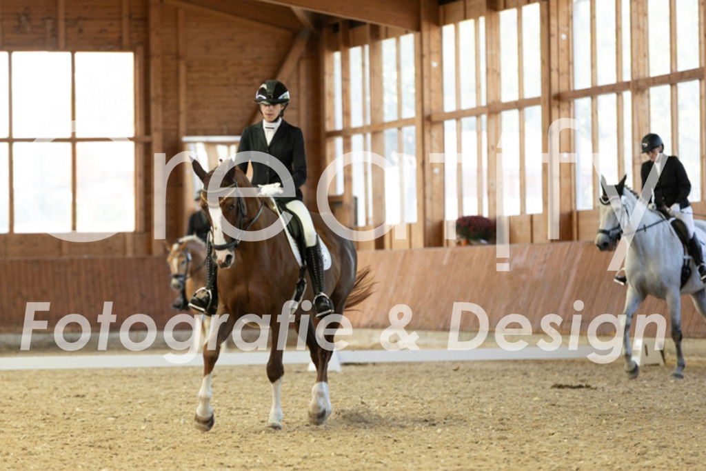 IMG_5249 | Creatify Fotografie