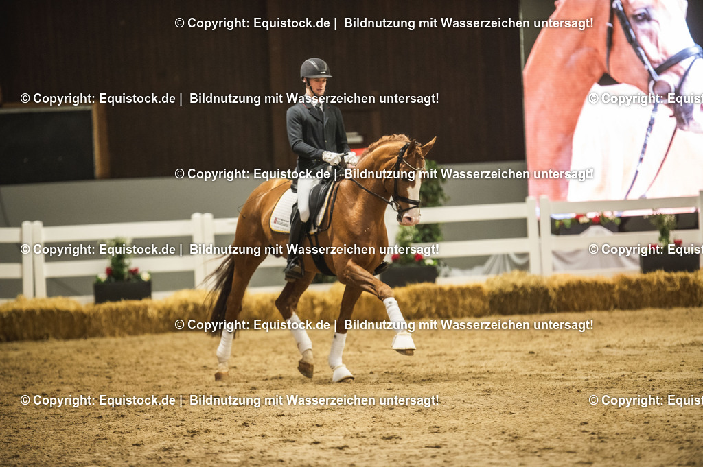 20240302_Hengstvorstellung_Marbach_TOMsPiC_0520 | equistock
