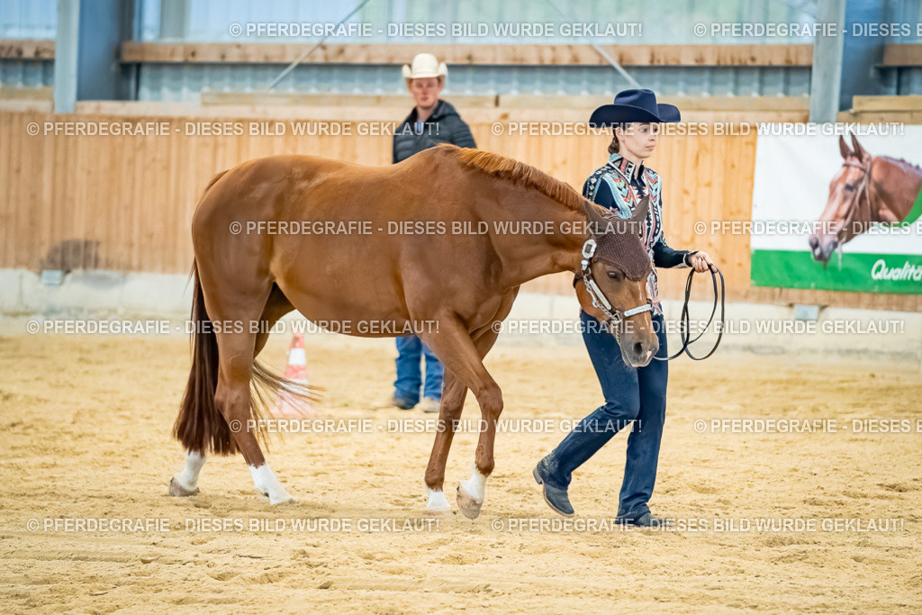 DSC09687 | Pferdegrafie