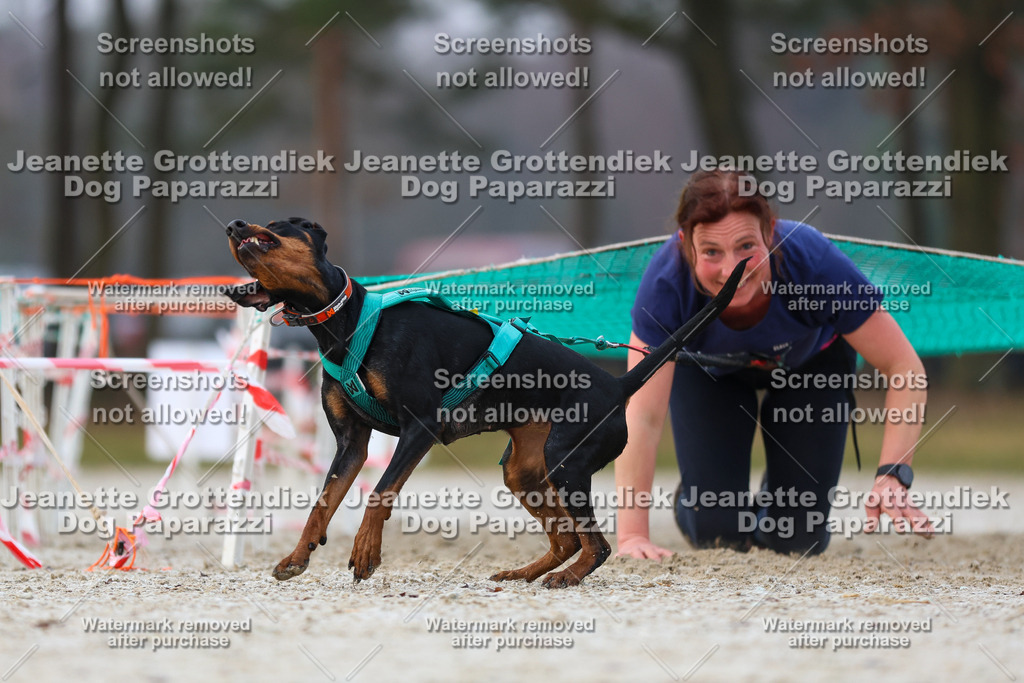 Dog Paparazzi - Strongdog North Mrz26-3628 | Dog Paparazzi Jeanette Grottendiek Fotografie & Videografie - Realisiert mit Pictrs.com