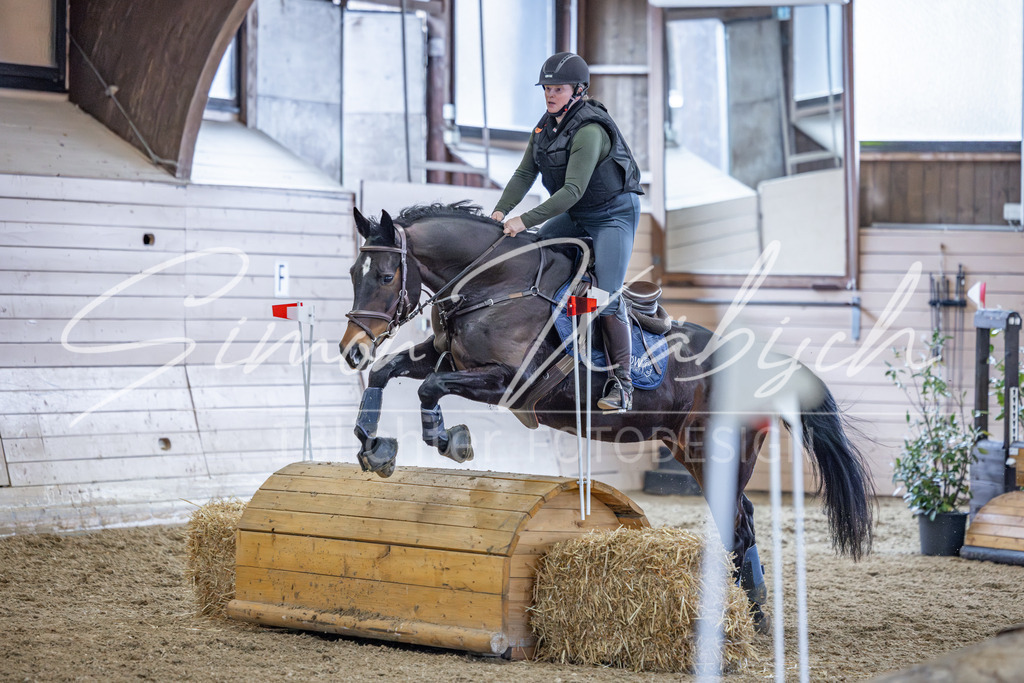 20260221-_3LI0190 | Tierfotografie Pferde, Hunde, Katzen, Haustiere.
Turnierfotografie Reitturniere, Reiten, Springreiten, Dressur in Hanau, dem Main-Kinzig-Kreis und dem Rhein-Main- Gebiet um Frankfurt