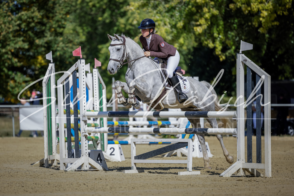 20250906-_3LI3749 | Tierfotografie Pferde, Hunde, Katzen, Haustiere.
Turnierfotografie Reitturniere, Reiten, Springreiten, Dressur in Hanau, dem Main-Kinzig-Kreis und dem Rhein-Main- Gebiet um Frankfurt